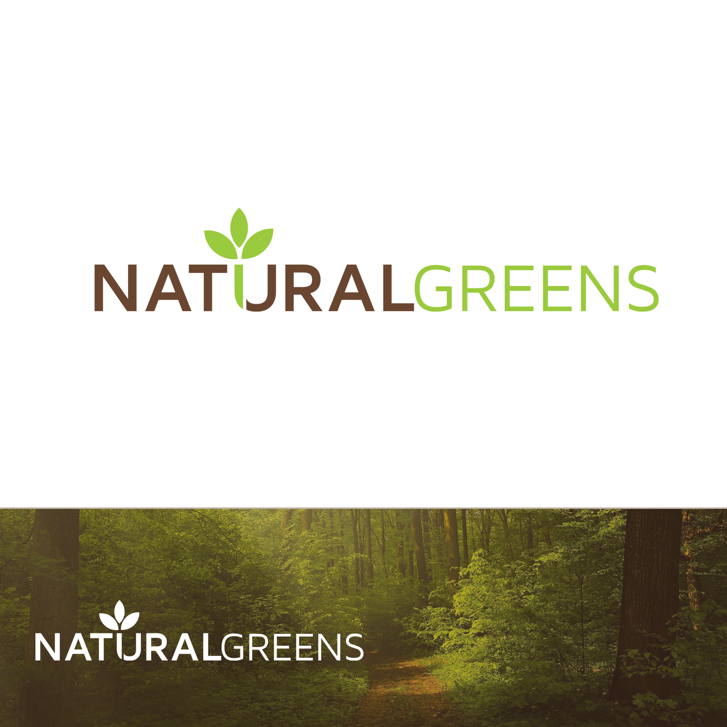 Logo Design by Andrei Negru for this project | Design #17393623