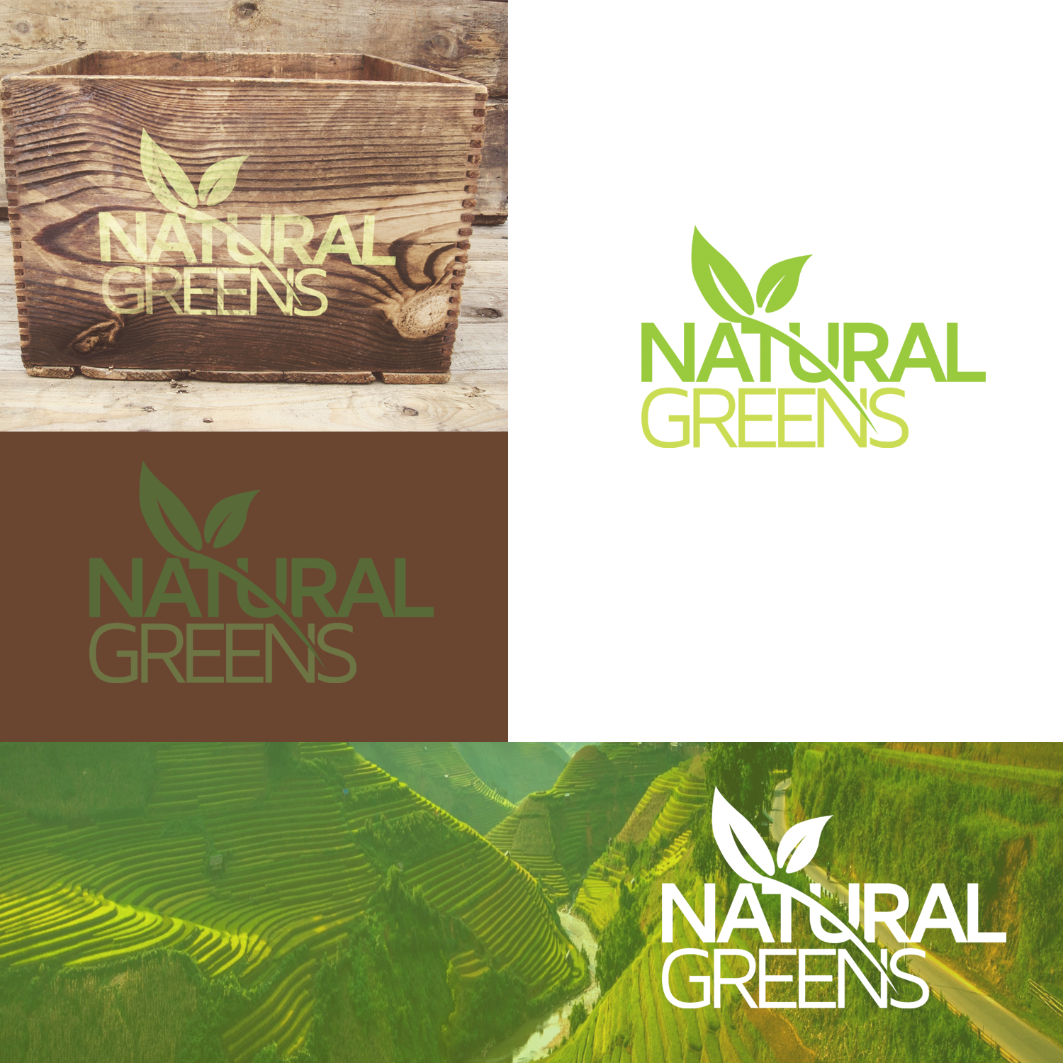 Logo Design by Andrei Negru for this project | Design #17393624