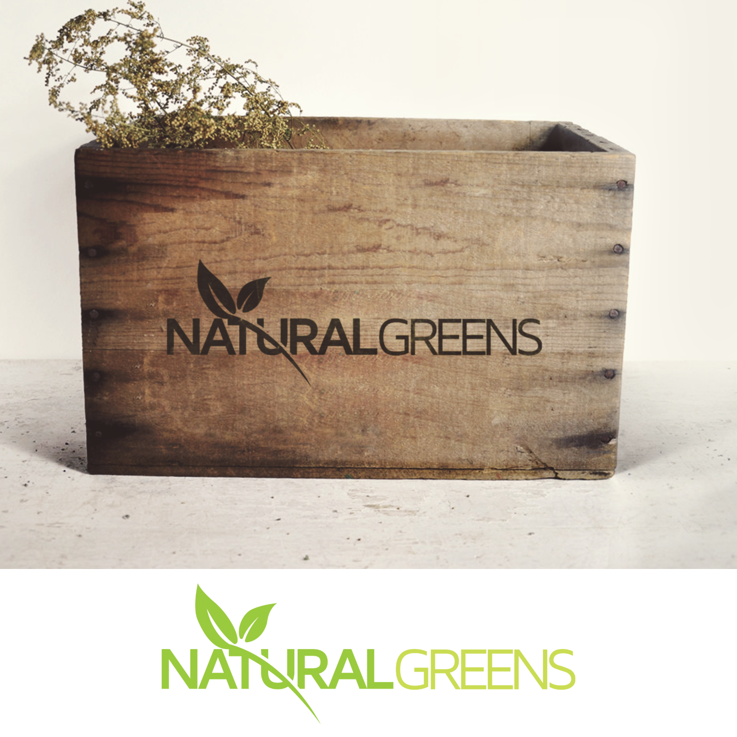 Logo Design by Andrei Negru for this project | Design #17393625