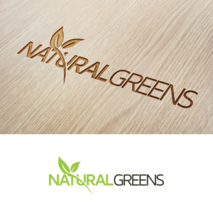 Design de Logo par Andrei Negru pour ce projet | Design : #17393626
