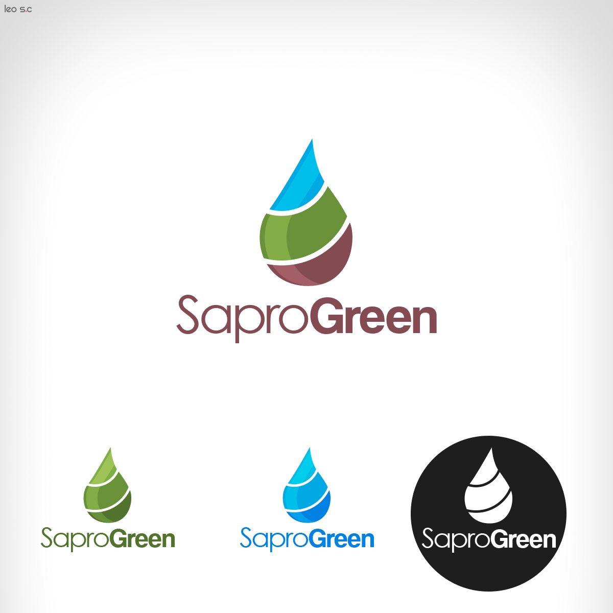 Logo Design by Leo SC for this project | Design #2731921