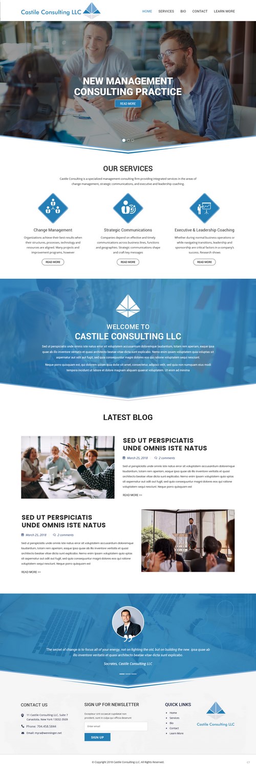 Web Design by pb for Castile Consulting | Design #17403381