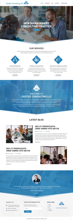 Web Design by pb for Castile Consulting | Design: #17403381