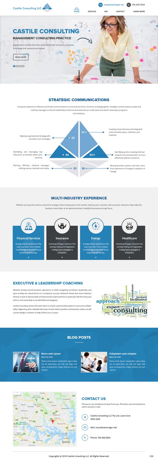 Web Design by pb for Castile Consulting | Design #17403403