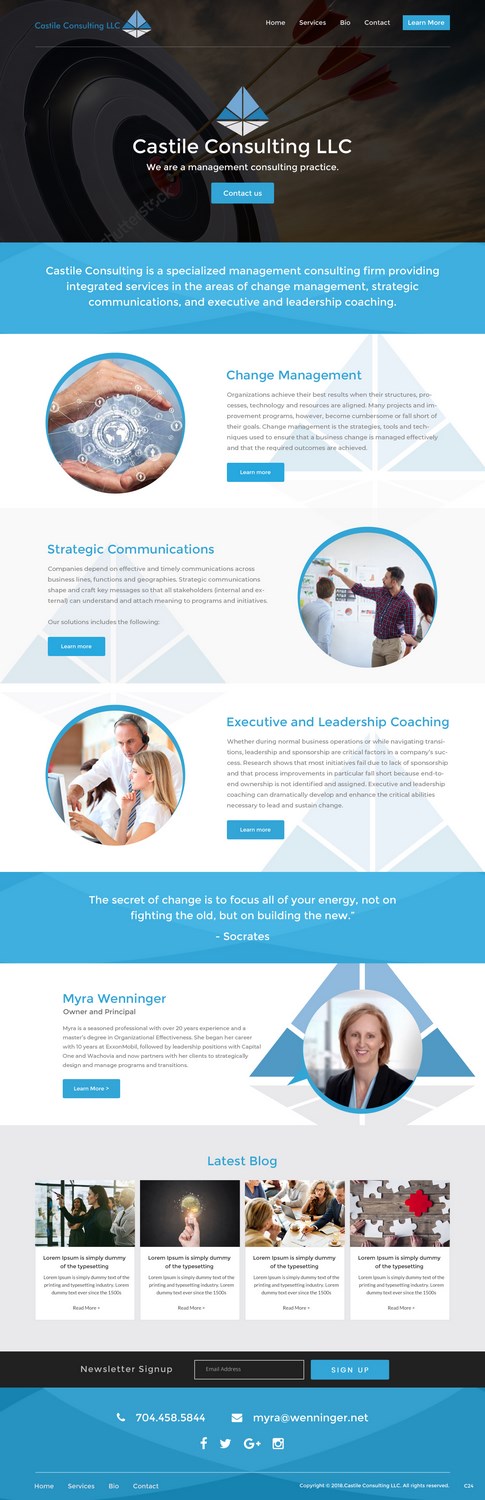 Web Design by pb for Castile Consulting | Design #17403404