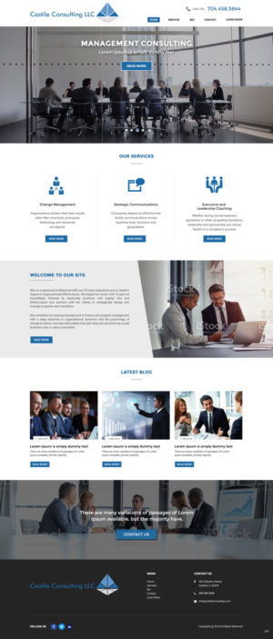 Web Design by pb for Castile Consulting | Design: #17414455