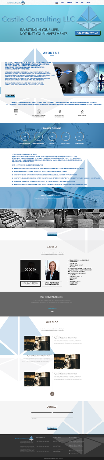 Web Design by Grebowiec Peter for Castile Consulting | Design #17432329