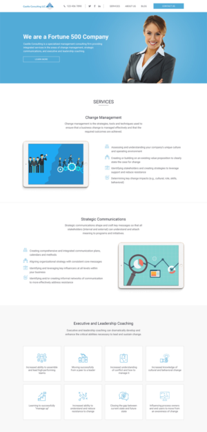Web Design by vsplch 2 for Castile Consulting | Design: #17390108