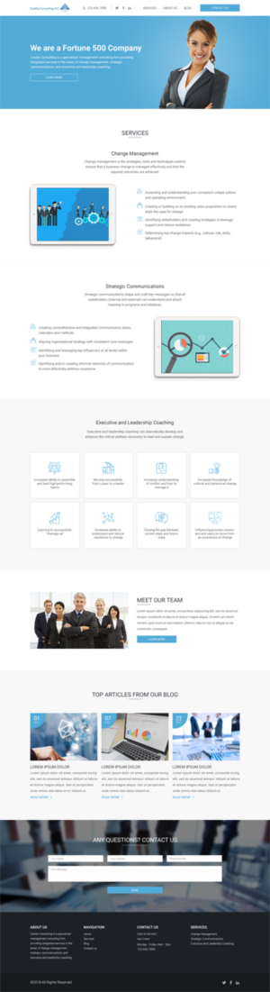 Web Design by vsplch 2 for Castile Consulting | Design: #17390112