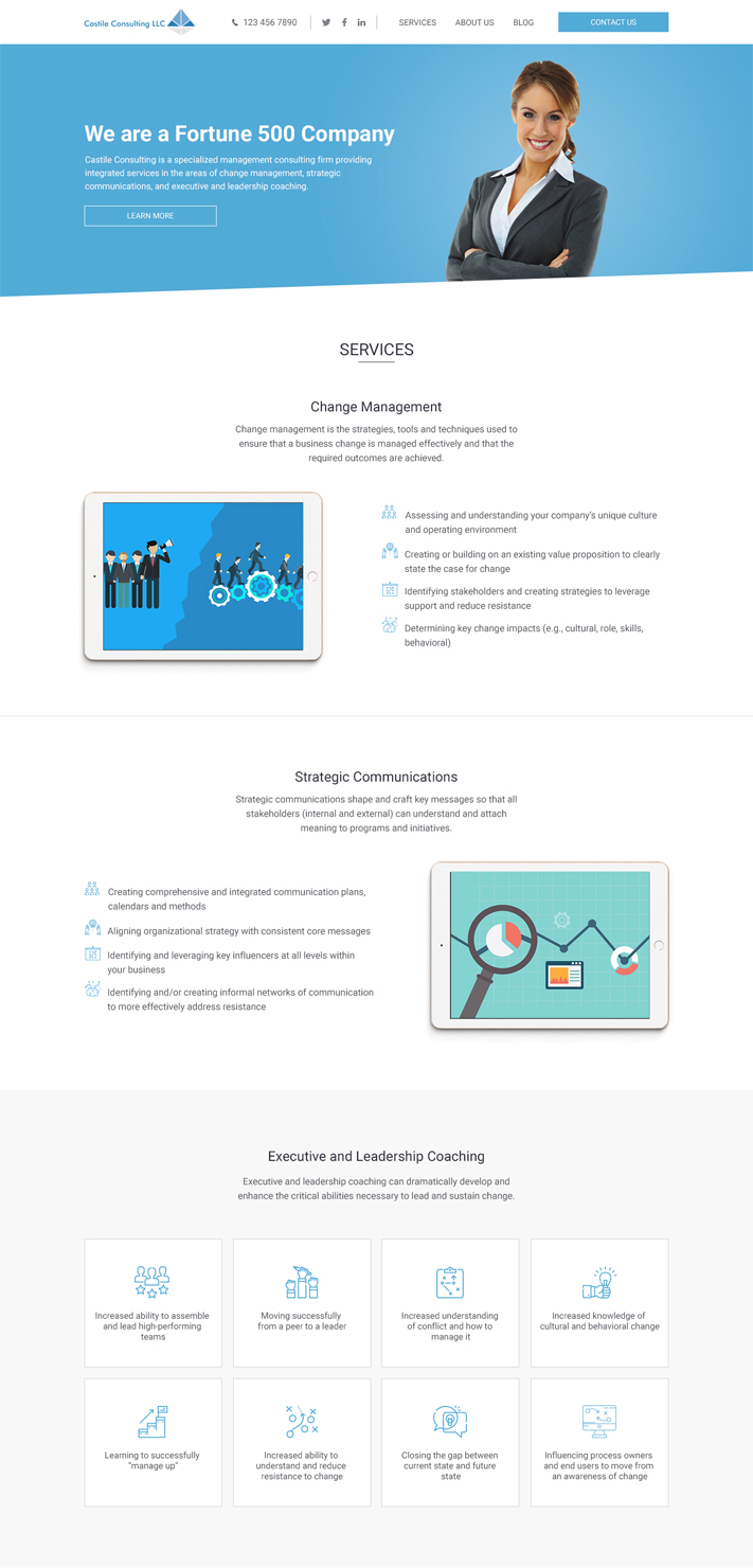 Web Design par vsplch 2 pour Castile Consulting | Design #17390127