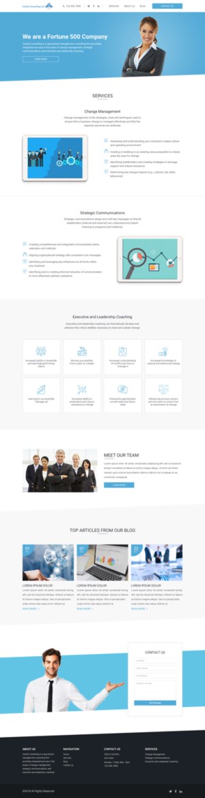 Web Design by vsplch 2 for Castile Consulting | Design: #17390130