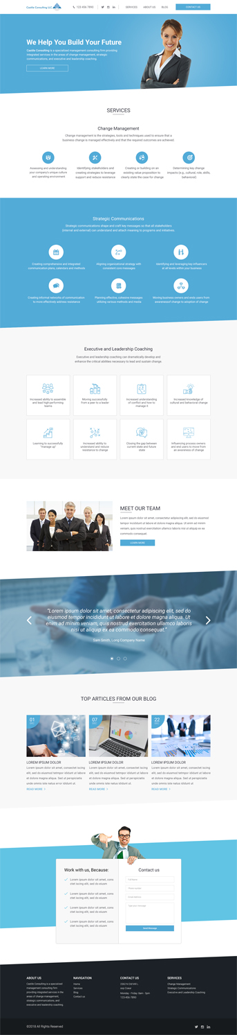 Web Design by vsplch 2 for Castile Consulting | Design #17411519
