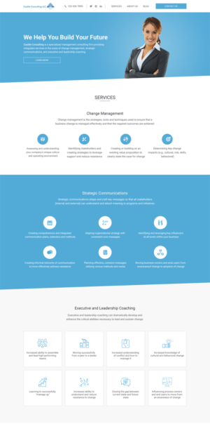 Web Design by vsplch 2 for Castile Consulting | Design: #17411520