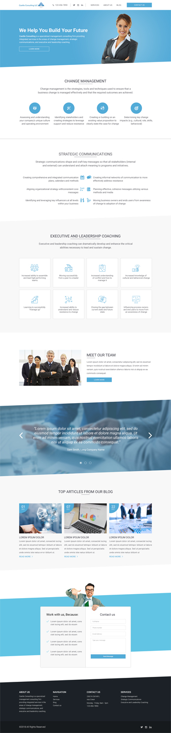 Web Design by vsplch 2 for Castile Consulting | Design #17415505
