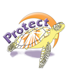 Diseño de Camiseta por cutekoala para Florida Sea Turtle Company | Diseño #17521484