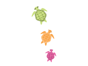 T-Shirt-Design von Andy Zahn für Florida Sea Turtle Company | Design: #17829244