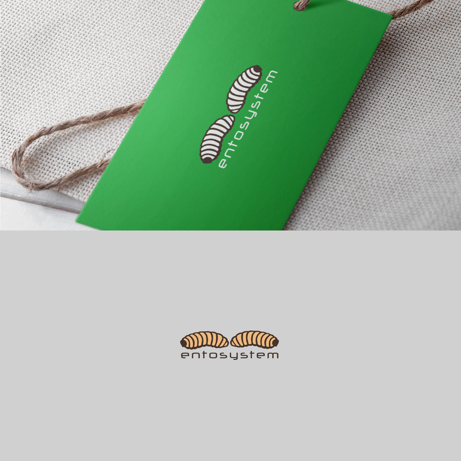 Diseño de Logo por Farooq Zahid para entosystem | Diseño #17440023