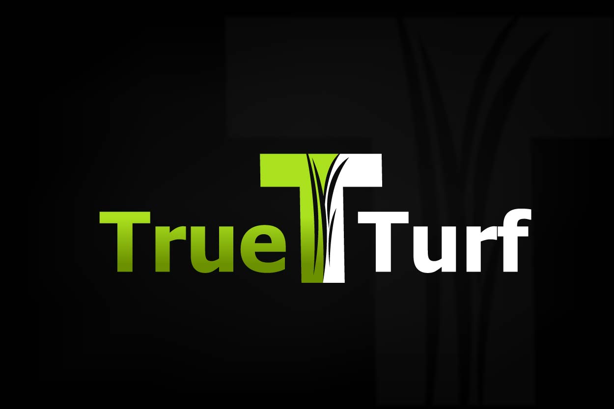 Logo Design by Asif  Maqsood for this project | Design #17570646