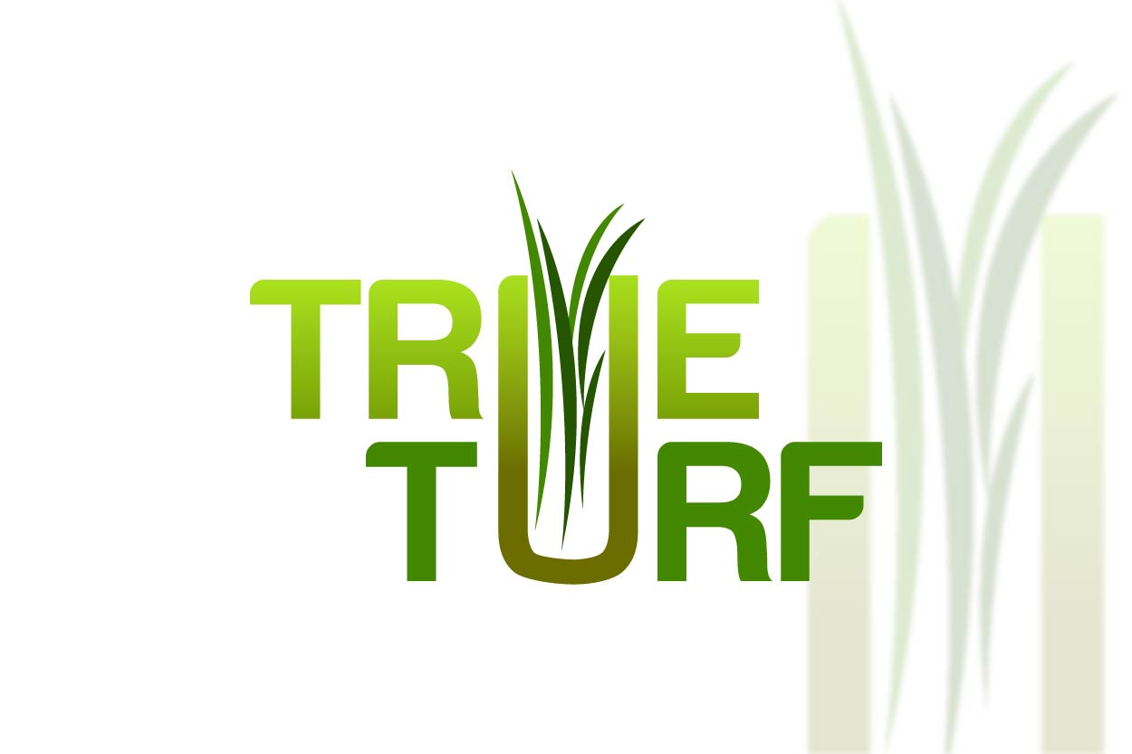 Logo Design by Asif  Maqsood for this project | Design #17570647