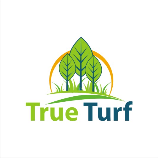 Logo Design by nutu for this project | Design #17569863