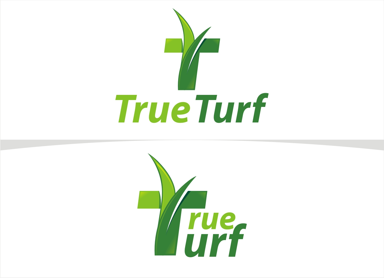 Logo Design by Soul Light for this project | Design #17570699