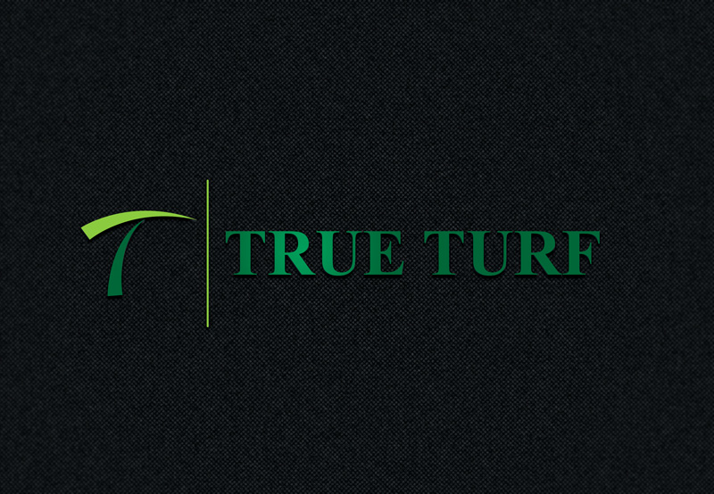 Logo Design by RHD for this project | Design #17584637