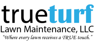 Logo-Design von Jersy Hortaleza für dieses Projekt | Design: #17674434