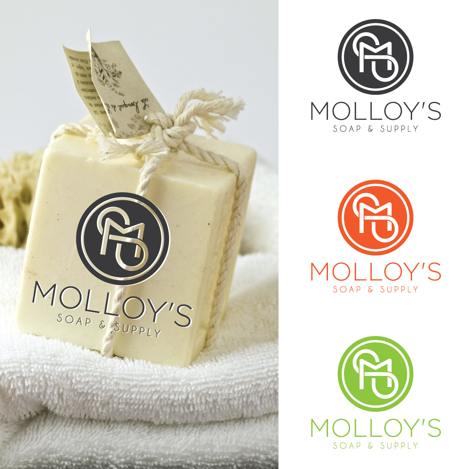 Logo Design by concepts for this project | Design #17488136