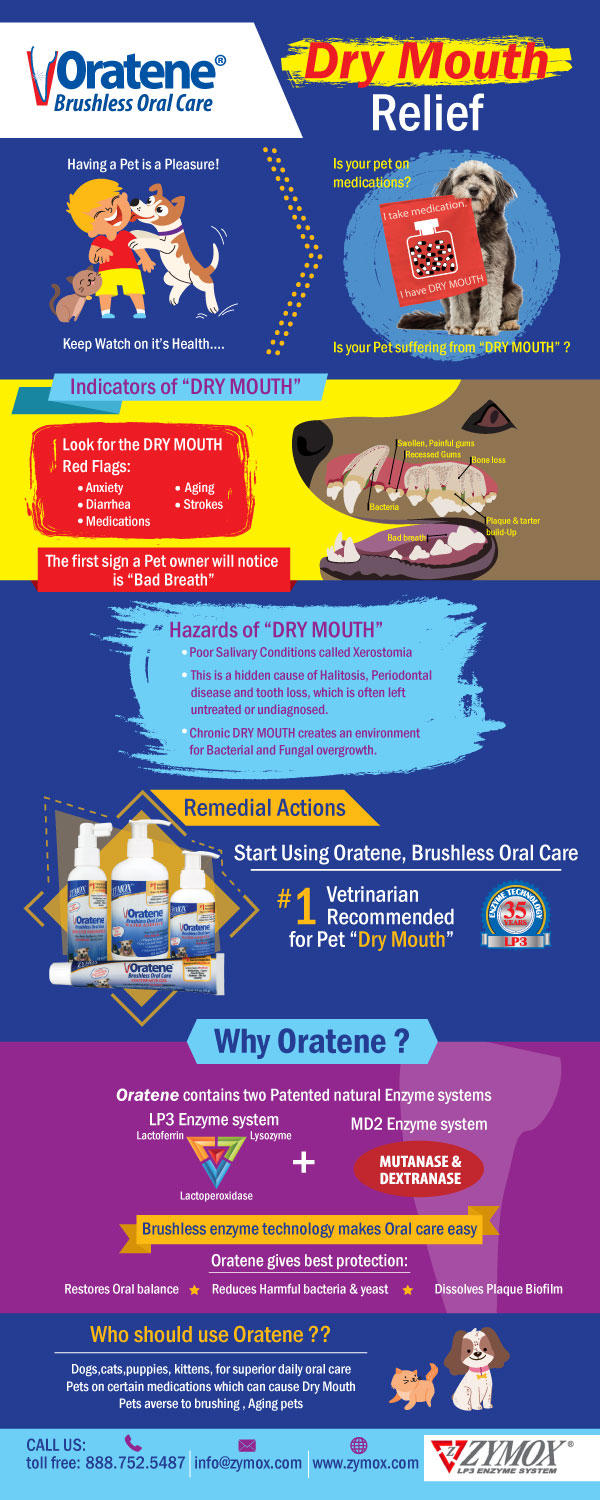 Infographic Design by Parul for PET KING BRANDS | Design: #17450220