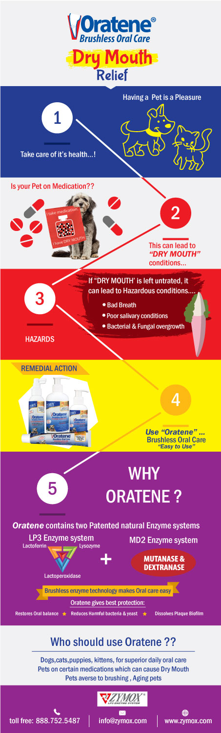 Infographic Design by Parul for PET KING BRANDS | Design #17580041