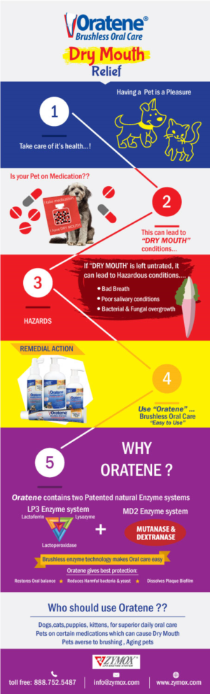 Infographic Design by Parul for PET KING BRANDS | Design: #17580041