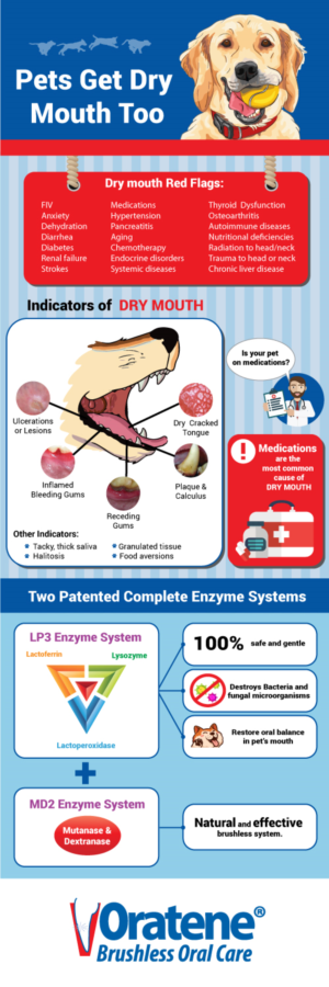 Oratene Brushless Oral Care infographic | Diseño Infográfico por DesignerGuide