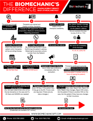 Infografik-Design von pecgi für BioMechanics Physical Therapy, P.C. | Design: #17772401