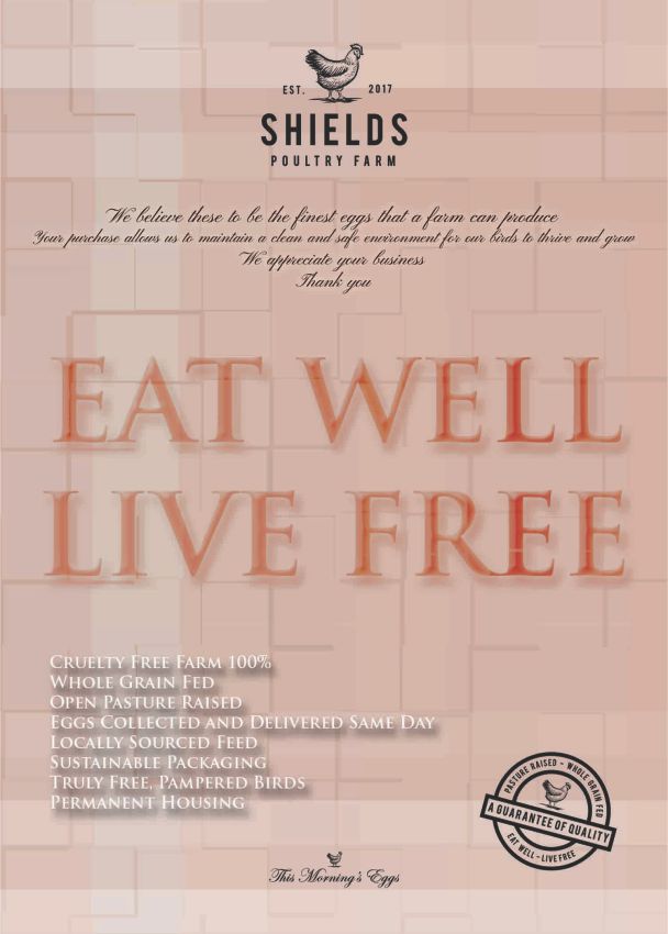 Flyer Design by Alireza Mirzaei for this project | Design #17485289