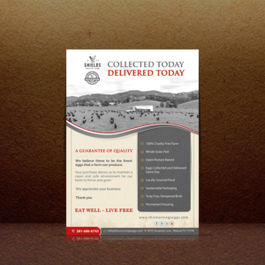Design de Flyer par debdesign pour ce projet | Design : #17483042