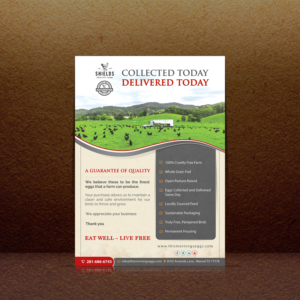 Design de Flyer par debdesign pour ce projet | Design : #17483046
