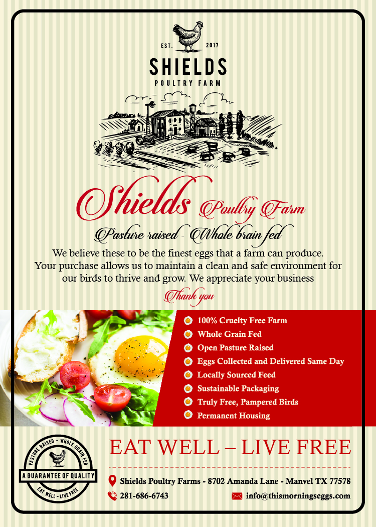 Flyer Design by falcon.wings for this project | Design #17494700