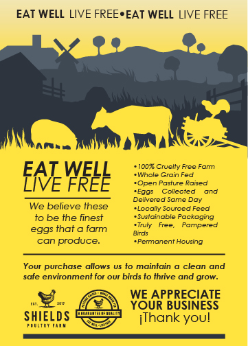 Flyer Design by E-10 for this project | Design #17494753