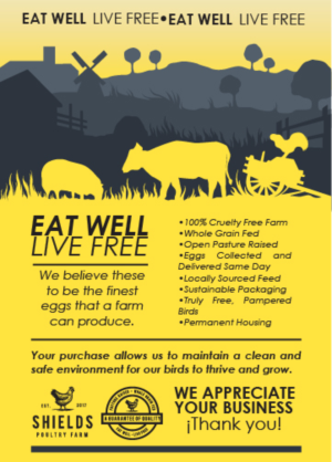 Flyer Design by E-10