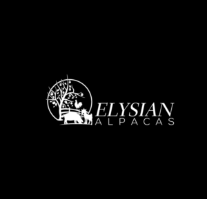Logo Design by rocklee for this project | Design: #17434514