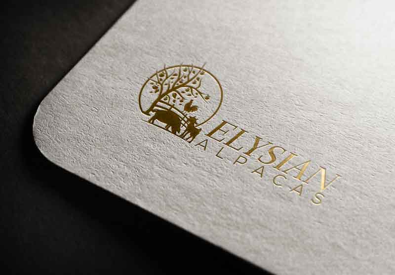 Logo Design by rocklee for this project | Design #17434517