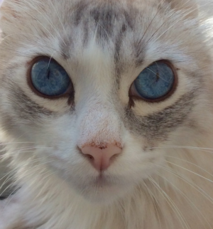 Photography by ariel9