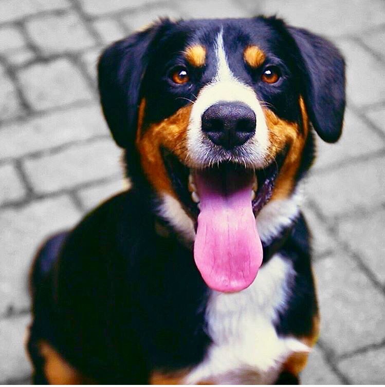 Photography by DonyaDD for DesignCrowd (Community Contests) | Design #17530589