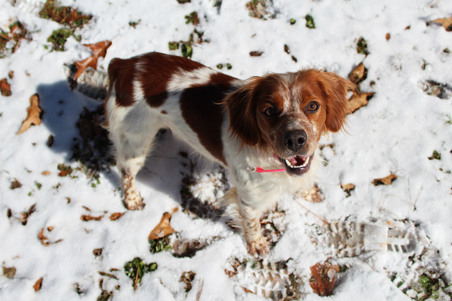 Photography by tburns for DesignCrowd (Community Contests) | Design #17534989