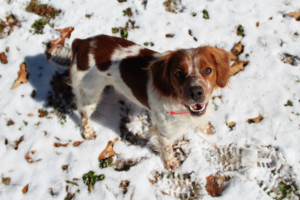 Photography by tburns