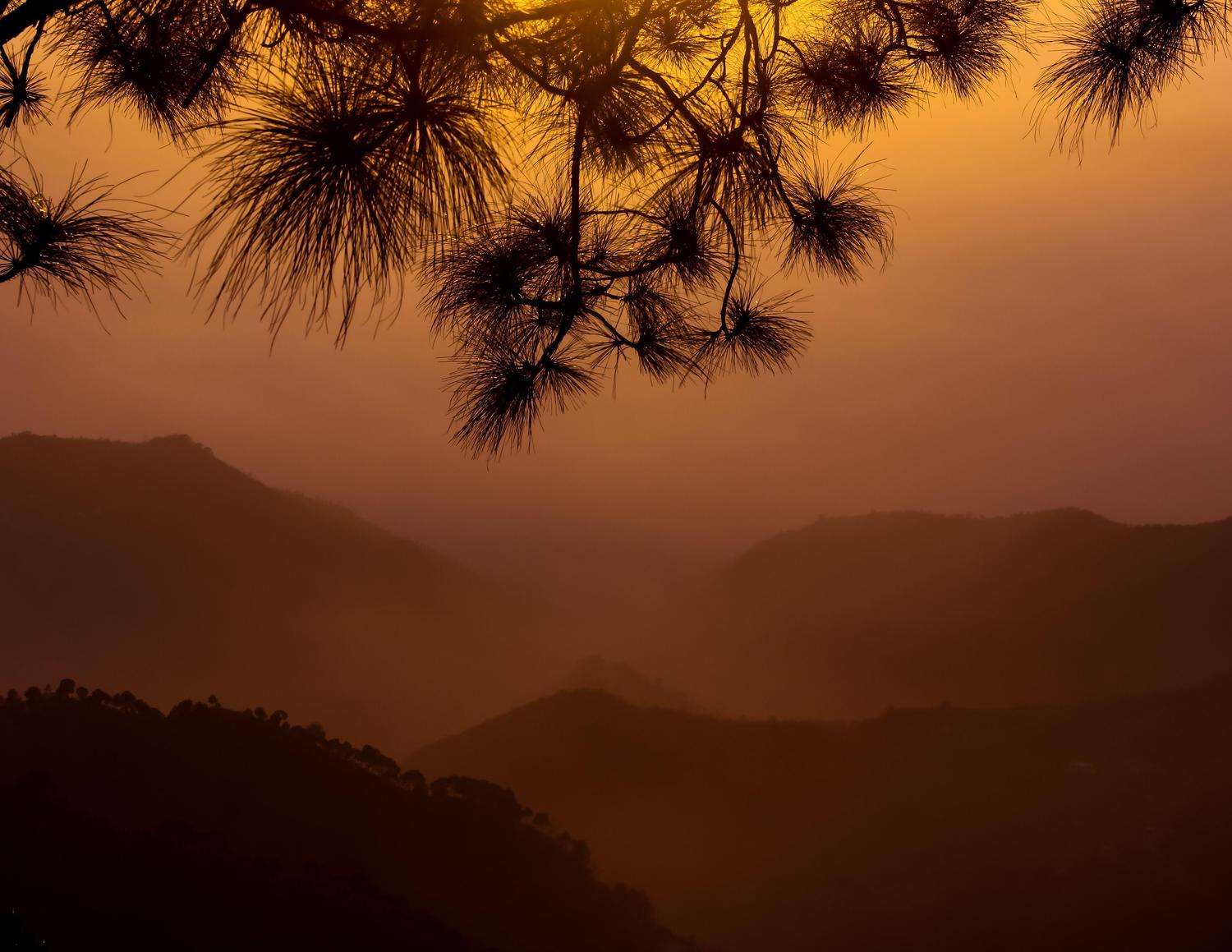 Photographie par WaveDesigns pour DesignCrowd (Community Contests) | Design #17404877