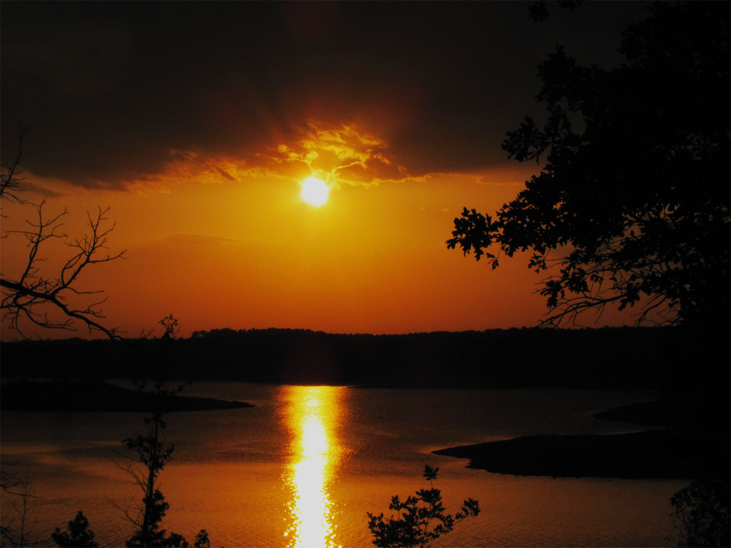 Photography by tburns for DesignCrowd (Community Contests) | Design #17584822