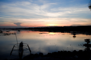 Photography by quasidonut