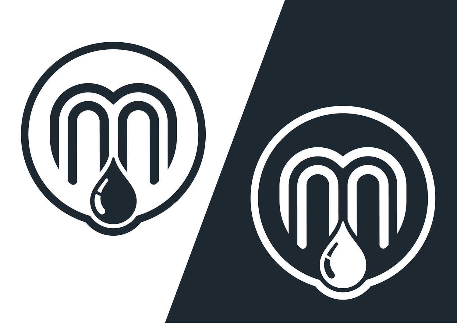 Logo Design by Channel Studio for this project | Design #17493333