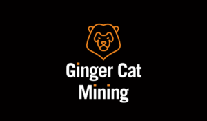 Logo Design by Craig Ferguson for this project | Design #17426615